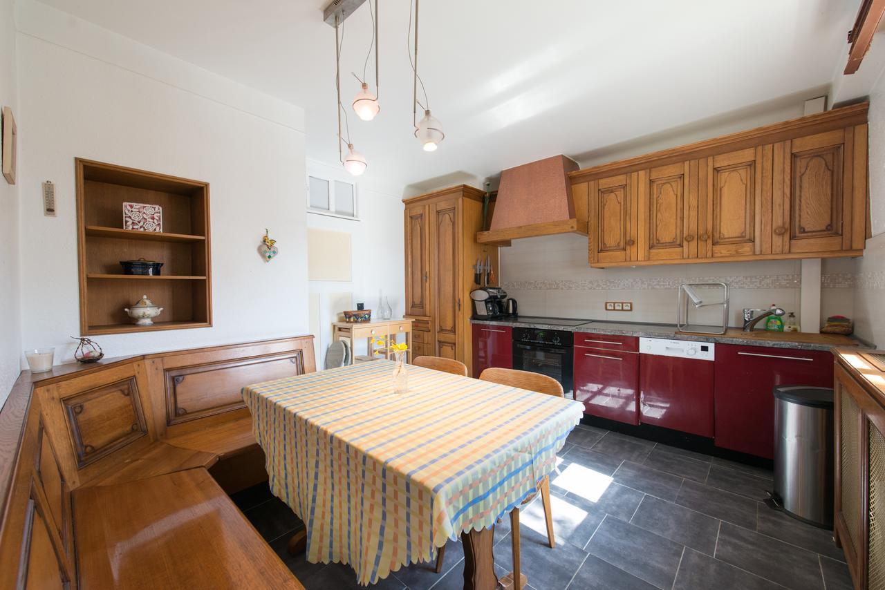Appartement T3 Aux Deux Cigognes Gries Eksteriør billede