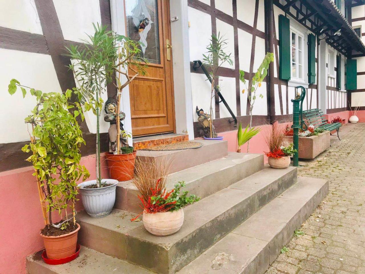 Appartement T3 Aux Deux Cigognes Gries Eksteriør billede